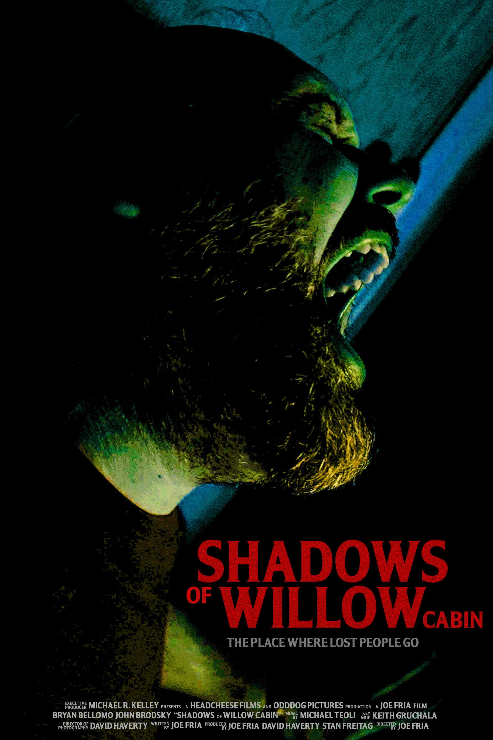 Shadows of Willow Cabin Hindi Dubbed Movie Poster (2025)